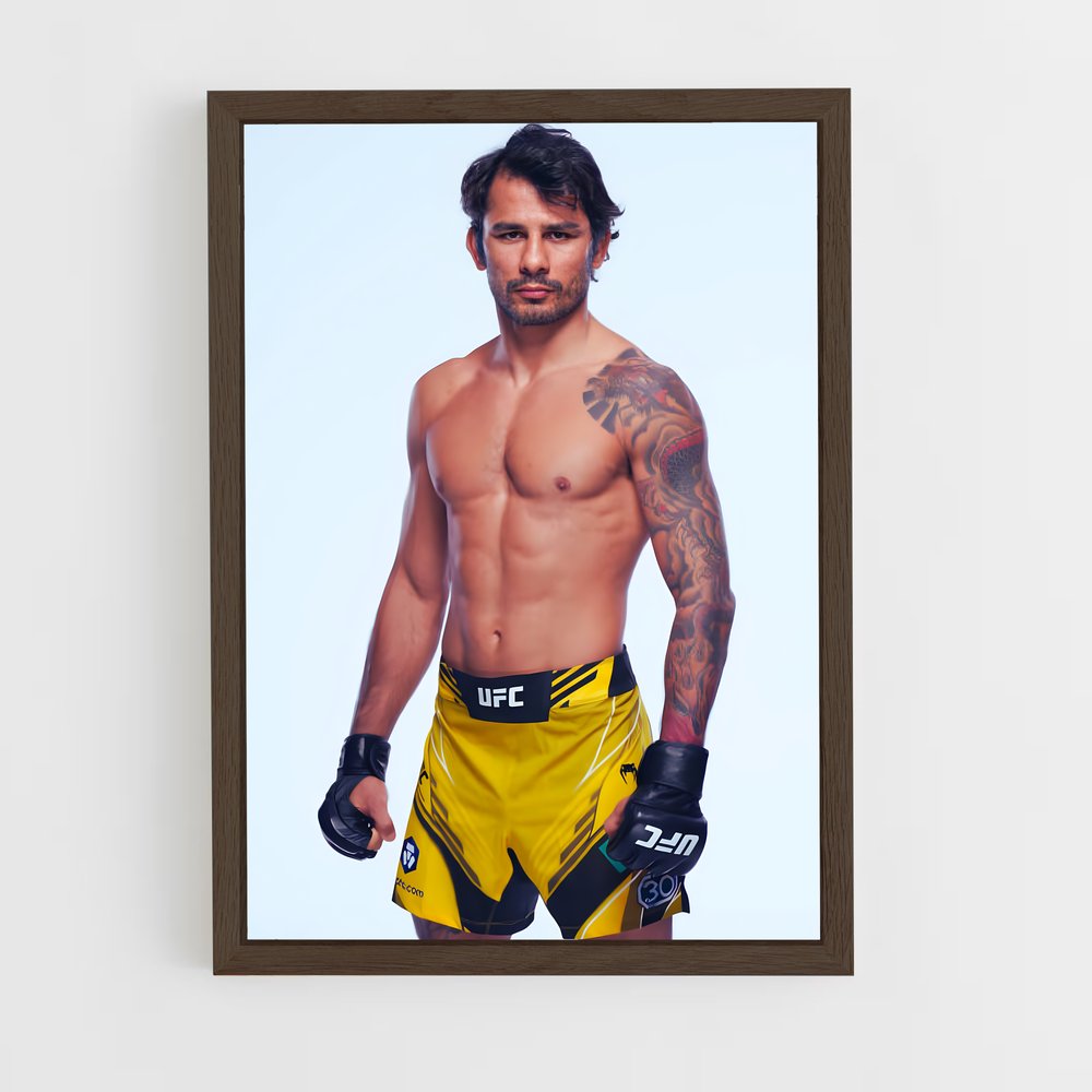 Poster pantoja peau – affiche MMA (vue 5)